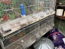 wooden breeding cages for sale  LONDON