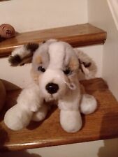 Australian shepard puppy for sale  Enfield