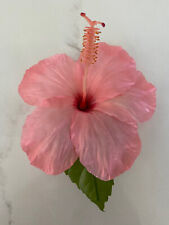 4.5 hibiscus silk for sale  San Diego