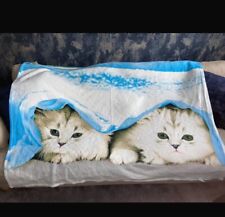 White kitten blue for sale  ASHFORD