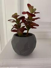 Faux succulent plant for sale  Barrington