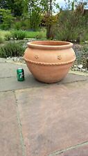 Large terracotta plant for sale  BRENTWOOD