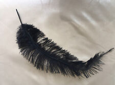 Antique feather black for sale  SALTBURN-BY-THE-SEA