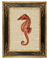 Red sea horse for sale  Seattle