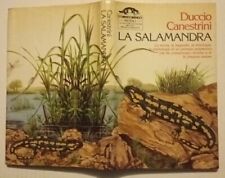D.canestrini.la salamandra riz usato  Verona