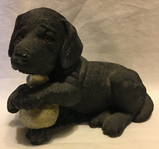 black lab pup for sale  Three Mile Bay