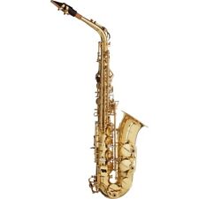 Saxofón alto Stagg WS-AS215 con estuche, incluye boquilla tapa de ligadura de caña, usado segunda mano  Embacar hacia Argentina