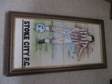 Stoke city framed for sale  NEWCASTLE