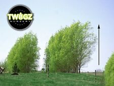 Hybrid willow austrees for sale  Lehi