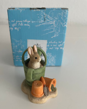 Peter rabbit watering for sale  MIDDLESBROUGH