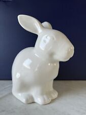 White bunny rabbit for sale  Bristol