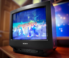 Sony Trinitron KV-14M1D 🌈RaRe🌈 Scart RGB Signal Vintage Retro Gaming CRT TV for sale  Shipping to South Africa
