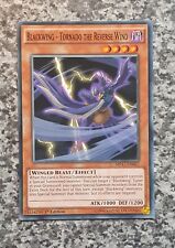 Yugioh card list gebraucht kaufen  Hamburg