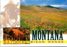 Montana national bison for sale  Sparta