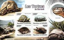 African tortoise turtle for sale  PONTYPRIDD