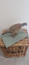 Taxidermy red legged for sale  ROMFORD