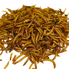 Juicy dried mealworm for sale  WOLVERHAMPTON