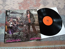 Steamhammer – Reflection LP 1969 Psych Prog Blues Rock, usado segunda mano  Embacar hacia Argentina