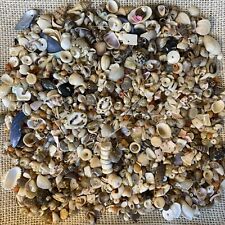 Sea shell junk for sale  Shipping to Ireland