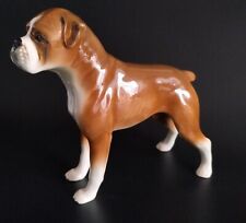 Boxer dog tan for sale  STOKE-ON-TRENT