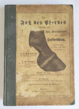 Fuß pferdes 1882 gebraucht kaufen  Neugersdorf