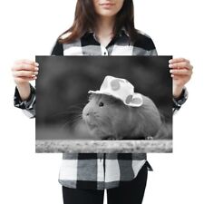 Sweet guinea pig for sale  SELBY