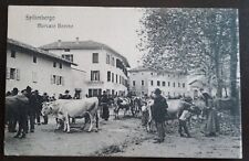 1907 spilimbergo mercato usato  Solopaca