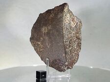 polished meteorite for sale  Eureka