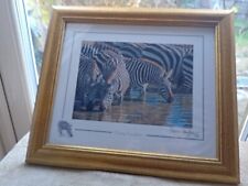 Stephen gayford zebra for sale  CANNOCK