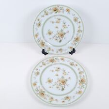 Noritake ireland amapola for sale  TAMWORTH