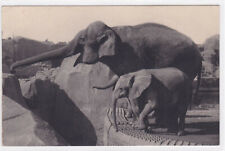 CARTE POSTALE ANCIENNE CPA ZOO BOIS DE VINCENNES ELEPHANT D'ASIE ET D'AFRIQUE d'occasion  Bayeux