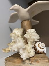 Seagull wood seashells for sale  Seguin