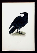 Raven original antique for sale  ILKLEY