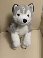 Lapland husky siberian for sale  LONDON