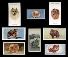POMERANIAN SPITZ Pom Pom DOG VINTAGE TRADE & CIGARETTE CARDS - 8 diffferent for sale  Shipping to South Africa