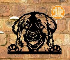 Leonberger metal home for sale  DURHAM