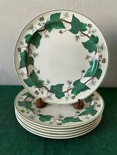 Set of 6 Wedgwood NAPOLEON IVY Dinner Plates Made in England 'modern' Marks! for sale  Shipping to Canada