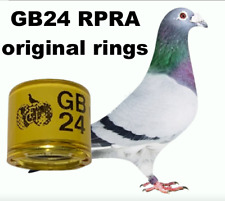 Gb24 2024 rpra for sale  RAMSGATE