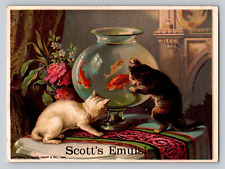 Scotts emulsion cats for sale  Mansfield