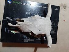 Steer skull horns for sale  Valparaiso