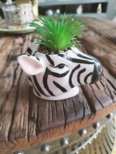 Zebra Artificial Plant decoration 🦓 for sale  ROCHESTER