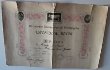 1926 formigine diploma usato  Bagnacavallo