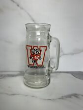 Vintage wisconsin badgers for sale  Cumberland Furnace