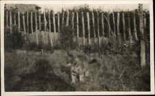 Cerca de madeira gatinho gato rabby fotografia amador cartão postal antigo RPPC, usado comprar usado  Enviando para Brazil