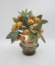 Bonsai tree tangerine for sale  Convoy