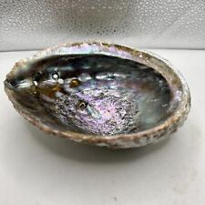 Natural abalone shell for sale  Galveston