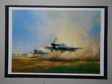 Airforce print typhoons for sale  LANCASTER