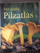 Pilzbuch gebraucht kaufen  Rauschw., Biesnitz, Weinhübel