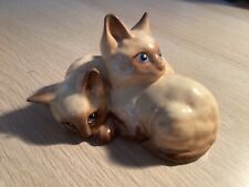 Beswick cats kittens for sale  CLEVEDON
