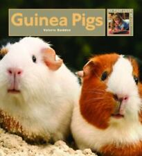 Guinea pigs bodden for sale  Aurora